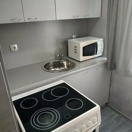 вийг Apartment Saparewa Banja