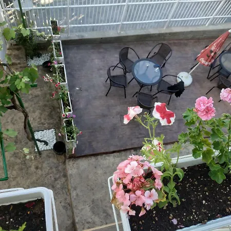 вийг * ספרבה בניה